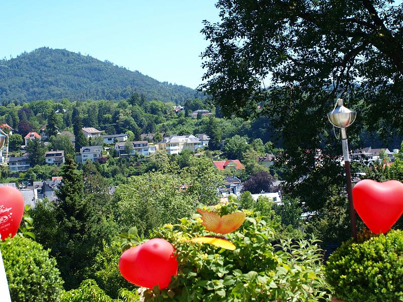 P5231666.JPG